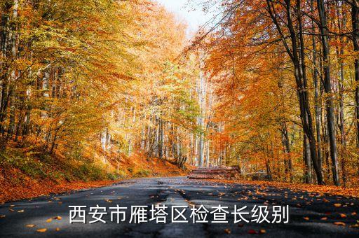 西安市正局級是什么級別，碑林分局局長級別是什么級別