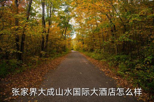 大成山水國際酒店毛致平是個(gè)什么人，大成山水老總毛致平是哪年出生的