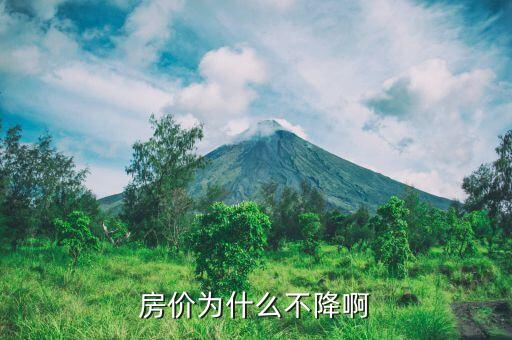中國房價為什么不會跌，為什么很多專家斷定房價不會大跌