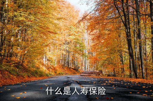 什么叫新型人壽保險，什么是人壽保險