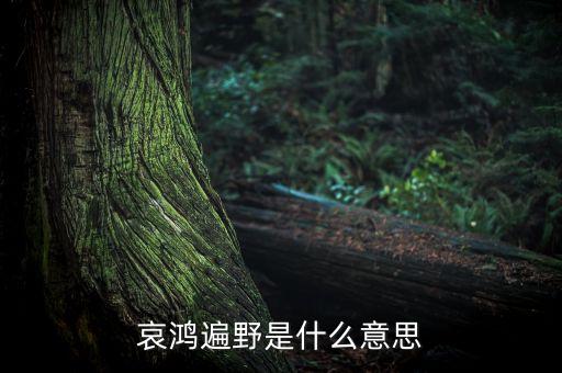 哀嚎遍野是什么意思，哀鴻遍野是什么意思