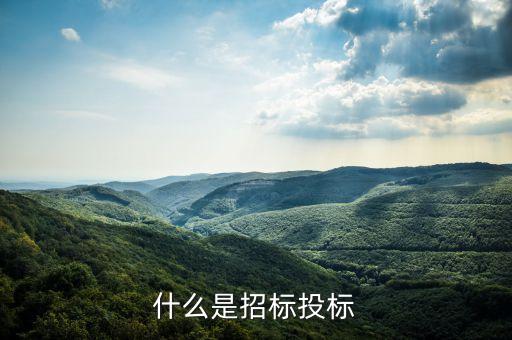 什么叫招標(biāo)率，什么是投標(biāo)利率