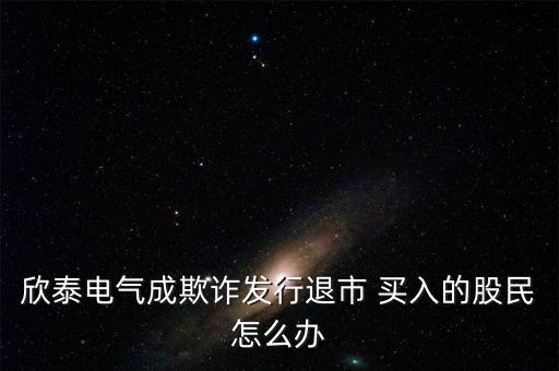 欣泰電氣成立什么公司，丹東欣泰電氣股份有限公司
