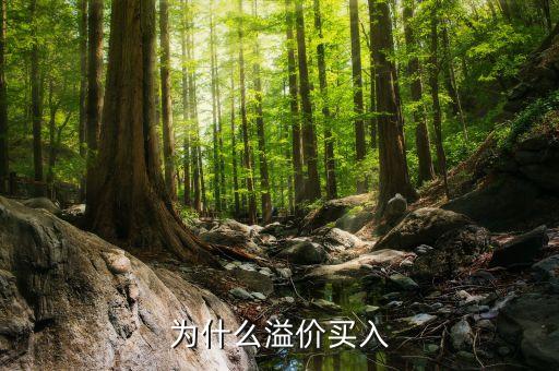 溢價買入是什么意思，溢價是什么意思