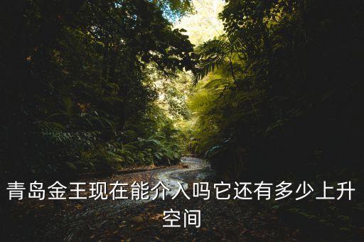 2015青島金王什么概念，青島金王現(xiàn)在能介入嗎它還有多少上升空間