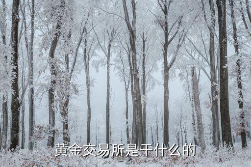 交易所是干什么的，黃金交易所是干什么的