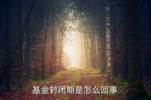 封閉式基金為什么要封閉，為什么認購基金要封閉期封閉期是3個月內不得提現(xiàn)