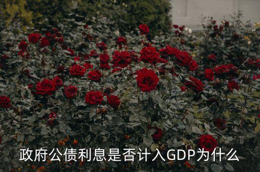 政府公債利息是什么，什么叫政府公債利息