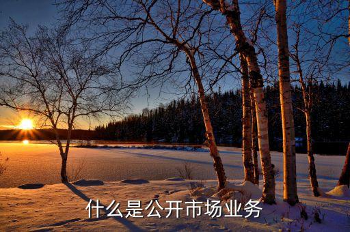什么是公開市場(chǎng)，什么是公開市場(chǎng)