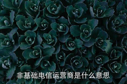 什么是基礎(chǔ)電信運營商，請問基礎(chǔ)電信企業(yè)是不是就是指幾大電信運營商啊不勝感激