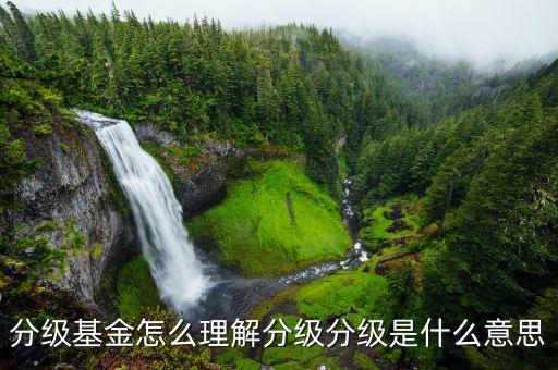 分級b基金什么意思，貨幣市場基金ab級各指什么含義