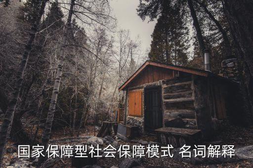 保障型保險(xiǎn)什么意思，國(guó)家保障型社會(huì)保障模式 名詞解釋