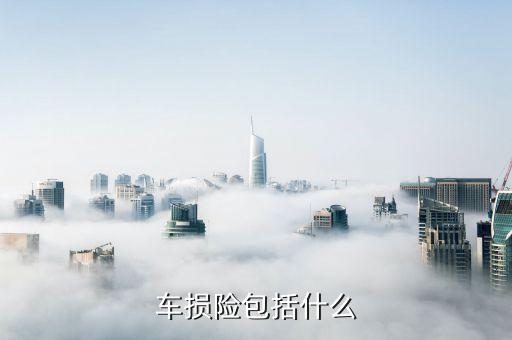 車(chē)損險(xiǎn)主要保什么，車(chē)損是保什么的