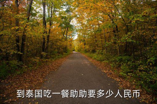 助幣是什么意思，到泰國(guó)吃一餐助助要多少人民幣