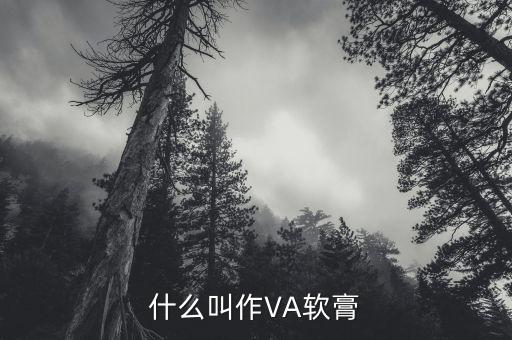 維生素va是什么，醫(yī)學(xué)va是什么意思