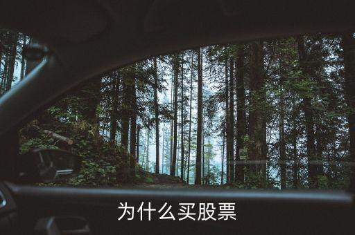 為什么會買股票，為什么買股票