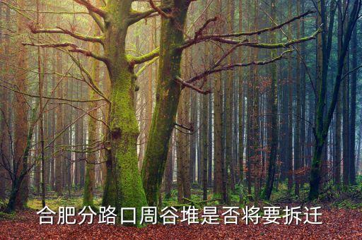 周谷堆什么時(shí)候搬遷，合肥分路口周谷堆是否將要拆遷