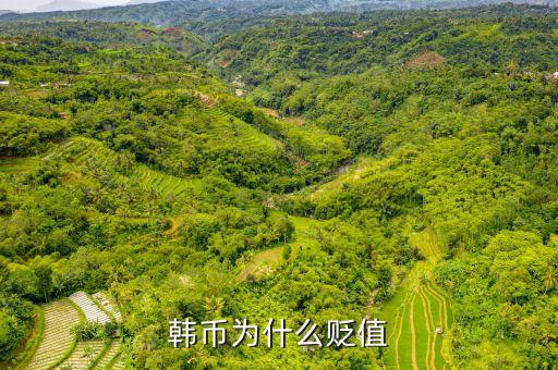 2016韓元為什么對(duì)人民幣貶值，韓幣為什么貶值