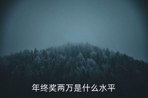 年終獎10000什么水平，月薪1700年終獎一萬算什么水平
