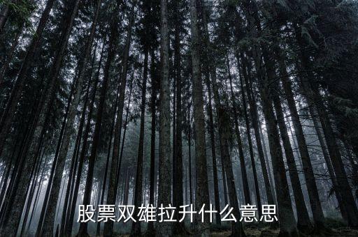 石化雙雄漲停意味著什么，股票雙雄拉升什么意思