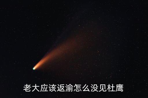 張曉強(qiáng)杜鷹為什么，發(fā)改委副主任杜鷹是誰的孩子