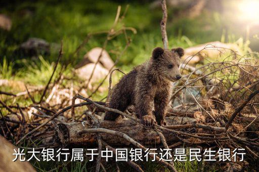 海寧光大銀行屬什么性質(zhì)，浙江海寧有光大銀行 嗎