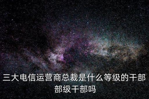 溫冬芬是什么級(jí)別，安徽省天長(zhǎng)市市委書(shū)記的行政級(jí)別是什么