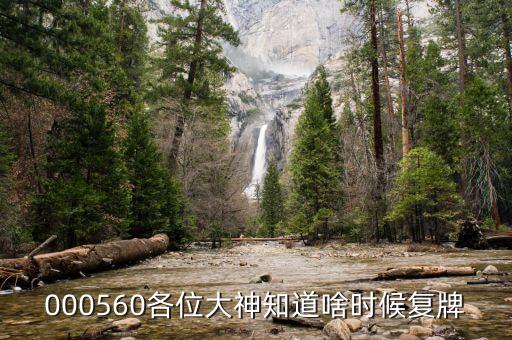 上工申貝什么時(shí)候復(fù)牌，請問上海建工什么時(shí)候復(fù)牌
