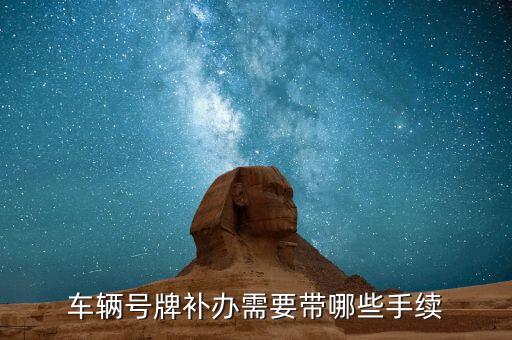 上國(guó)補(bǔ)帶什么，求助出國(guó)游需要帶哪些物品