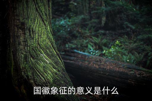 國琪意義是什么，國徽象征的意義是什么