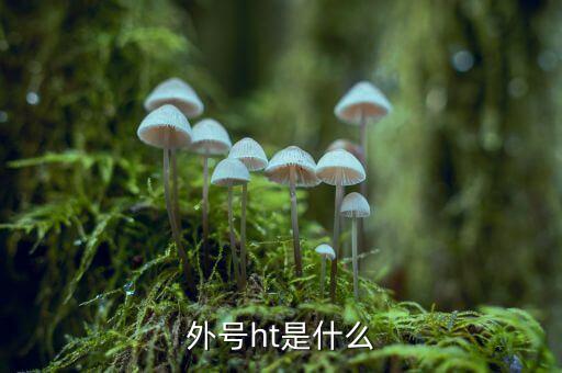 買受人號(hào)碼ht是什么，備案合同中買受人號(hào)碼HT