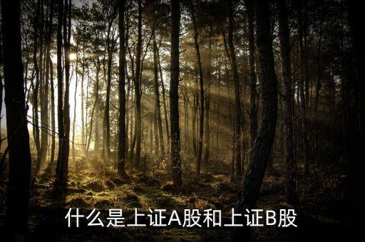 什么股票屬于上證，什么股票代碼屬于上證指數(shù)1A0001