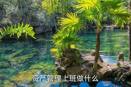 資產(chǎn)管理做什么，資產(chǎn)管理上班做什么