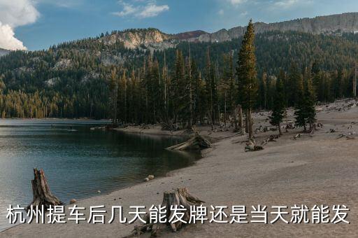 杭州車牌什么時候發(fā)放，杭州車牌拍好多久拿到