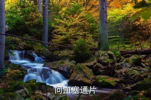 血塞通是什么藥，問血塞通片