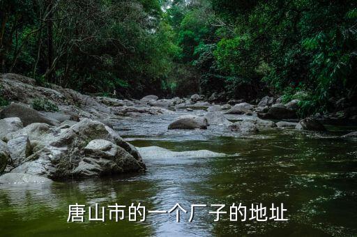 同方國芯的總部為什么在玉田縣，唐山市的一個(gè)廠子的地址