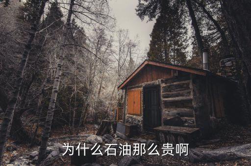 石油為什么這貴，石油為何那么貴