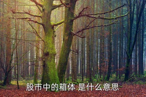 股市箱體是什么，股票的箱體指什么