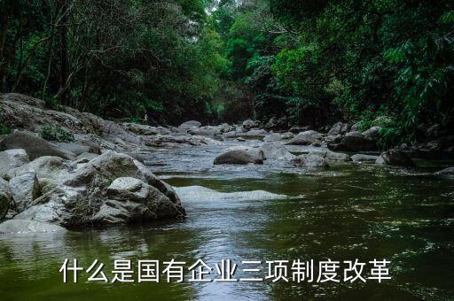 新鋼公司三項(xiàng)制度改革是什么，什么是國有企業(yè)三項(xiàng)制度改革