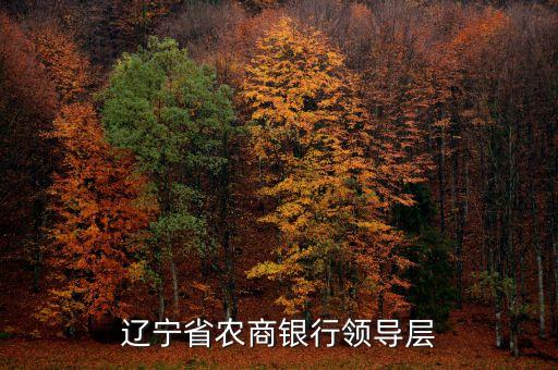 遼寧什么信用聯(lián)社理事長(zhǎng)名單，遼寧省農(nóng)村信用社聯(lián)合社現(xiàn)在叫什么名