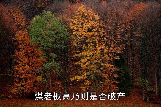 七千萬嫁女煤老板為什么會(huì)破產(chǎn)，太原迎賓車站附近最近奇聞