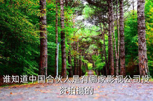 黃曉明投資公司叫什么，誰知道中國合伙人是有哪家影視公司投資拍攝的