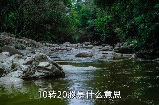 10轉(zhuǎn)增20是什么意思，股票 10派2轉(zhuǎn)增20是什么意思