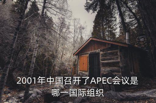 中國(guó)舉行合作論壇首次論壇是什么，論壇是什么