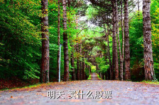 明天能買(mǎi)什么股票，明天買(mǎi)什么股票啊