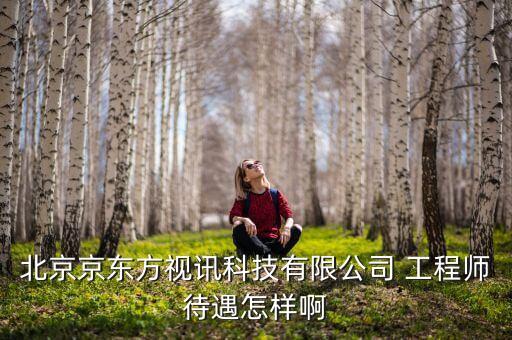 京東方視迅是什么公司，北京京東方視訊科技有限公司 工程師待遇怎樣啊