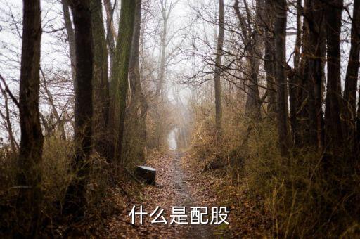 上市公司配股是什么，什么是配股