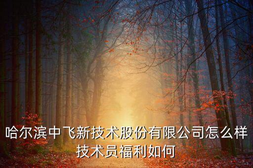 中飛股份公司做什么的，哈爾濱中飛新技術(shù)股份有限公司怎么樣技術(shù)員福利如何