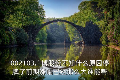 廣博股份什么時(shí)候復(fù)牌，002103廣博股份不知什么原因停牌了前期漲幅已經(jīng)那么大誰(shuí)能幫