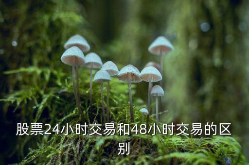 24小時(shí)交易是什么意思，股票24小時(shí)交易和48小時(shí)交易的區(qū)別